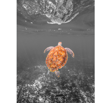 Black and white turtle swimming fridge sticker - TenStickers