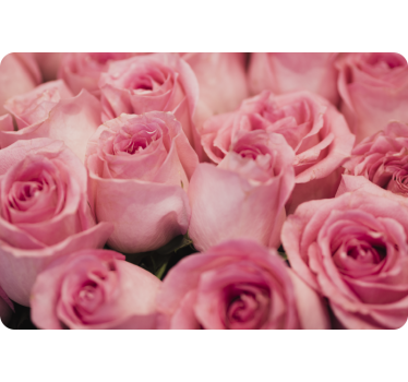 Pink with roses laptop skin - TenStickers