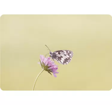 Butterfly on Flower laptop skin - TenStickers