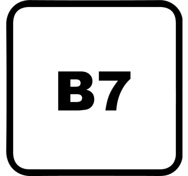 Diesel B7 Car Decal - TenStickers