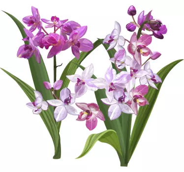 Orchid and petals flower wall decor - TenStickers