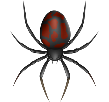 3D realistic spider car sticker - TenStickers
