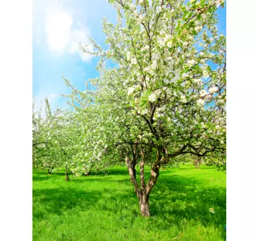 Apple Tree Wall Mural - TenStickers