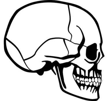 Skull Macbook Laptop Sticker - TenStickers