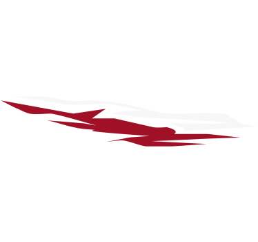colorful car wrap Car Decal - TenStickers