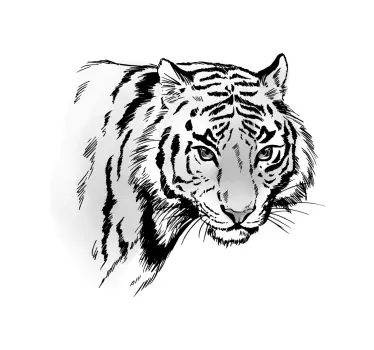 White tiger laptop stickers - TenStickers