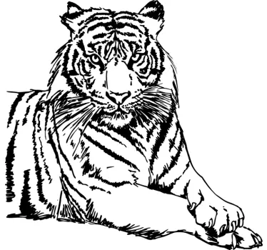 Tiger Wall Sticker - TenStickers
