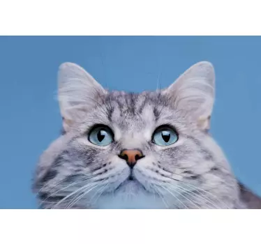 Laptop skin cat face laptop cover - TenStickers