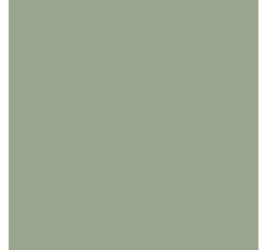 Sage green plain vinyl sticker - TenStickers