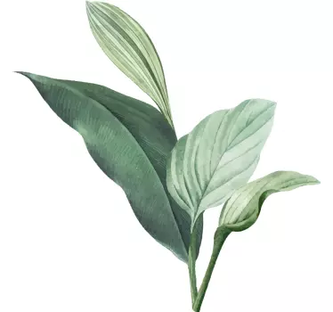 Green drawn tropical leafs plant decals - TenStickers