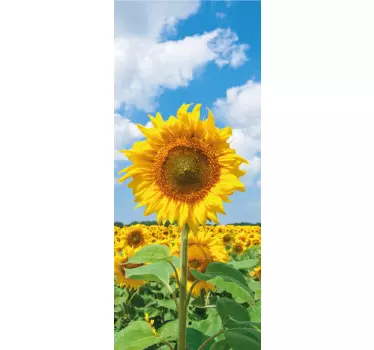 Sunflower blue sky fridge decal - TenStickers