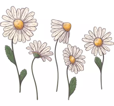 Daisy flowers wall decor - TenStickers
