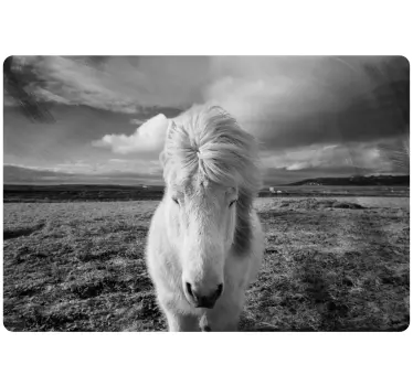 White horse laptop stickers - TenStickers
