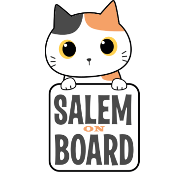 Cute cat on board with name car decal - TenStickers
