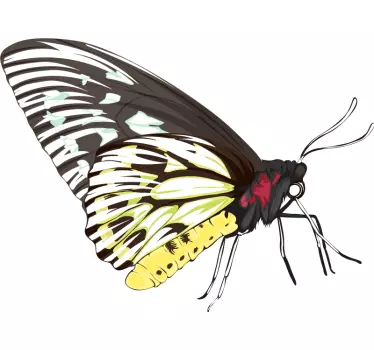 Realistic yellow butterfly wallpaper sticker - TenStickers