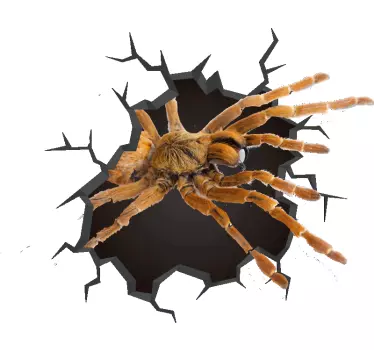 3D Broken Spider 3D sticker - TenStickers
