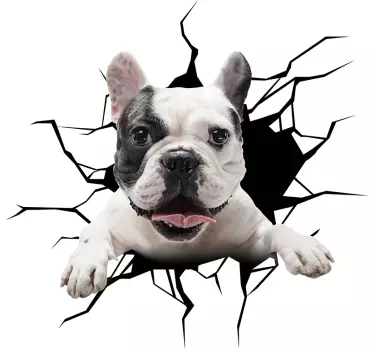 Dog Glass car sticker - TenStickers