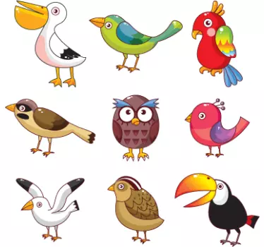 Bird Variety Wall Stickers - TenStickers