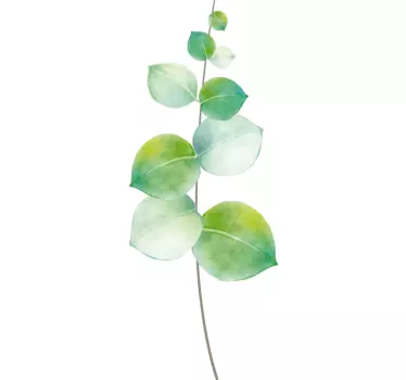 Eucalyptus illustration wall decor - TenStickers