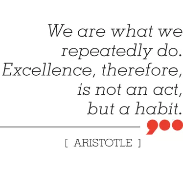 Excellence Aristotle Wall Sticker - TenStickers