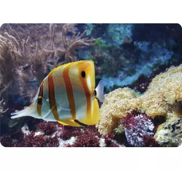 Great Barrier Reef Laptop Sticker - TenStickers