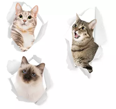 Kittens animal wall sticker - TenStickers