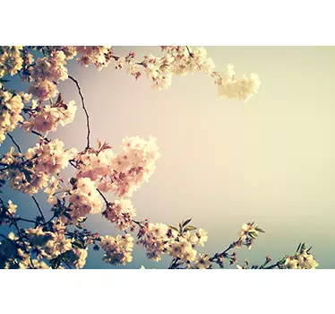 Spring blooming laptop skin decal - TenStickers
