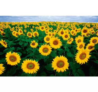 Sunflower fields laptop skin - TenStickers