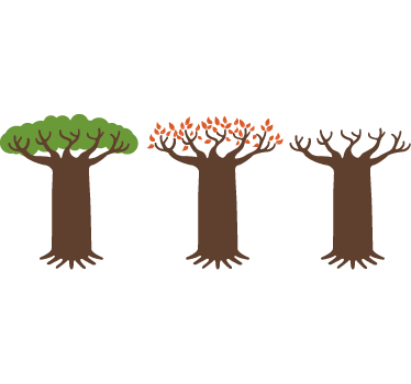 Tree Seasons Wall Sticker - TenStickers