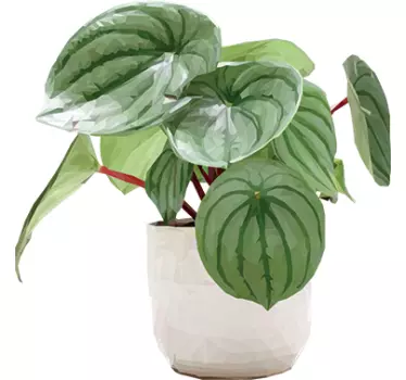 Tropical plant wall decor - TenStickers