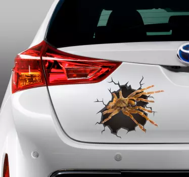 3D Broken Spider 3D sticker - TenStickers
