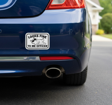 Car sticker looks fine to me officer - TenStickers