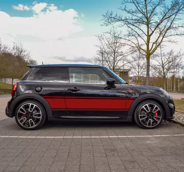 Custom rally stripe car sticker - TenStickers