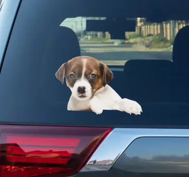 Dog peeking car window sticker - TenStickers