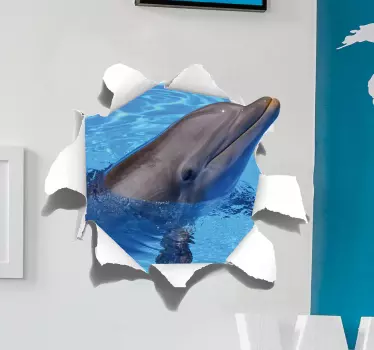 Dolphin visual effects wall sticker - TenStickers