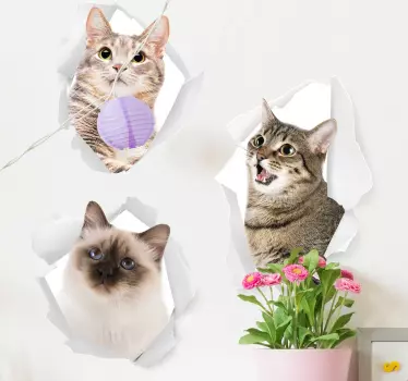 Kittens animal wall sticker - TenStickers
