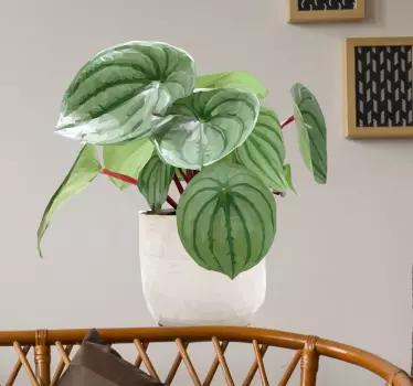 Tropical plant wall decor - TenStickers