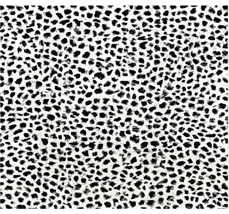 Monochrome Leopard Print dining room rug - TenStickers