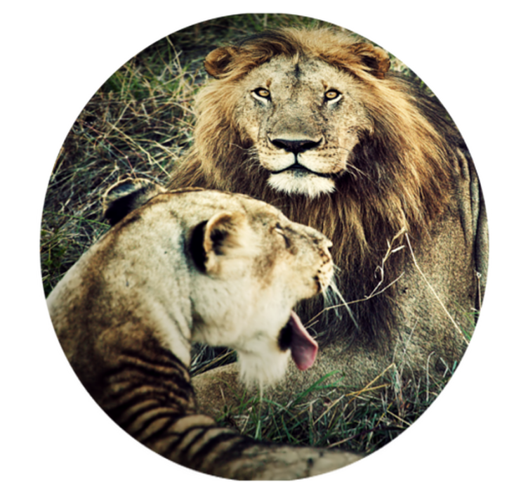 Majestic lion pair animal mat - TenStickers