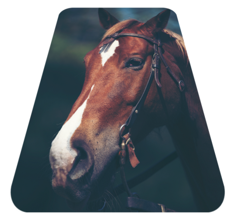 Majestic horse head animal mat - TenStickers