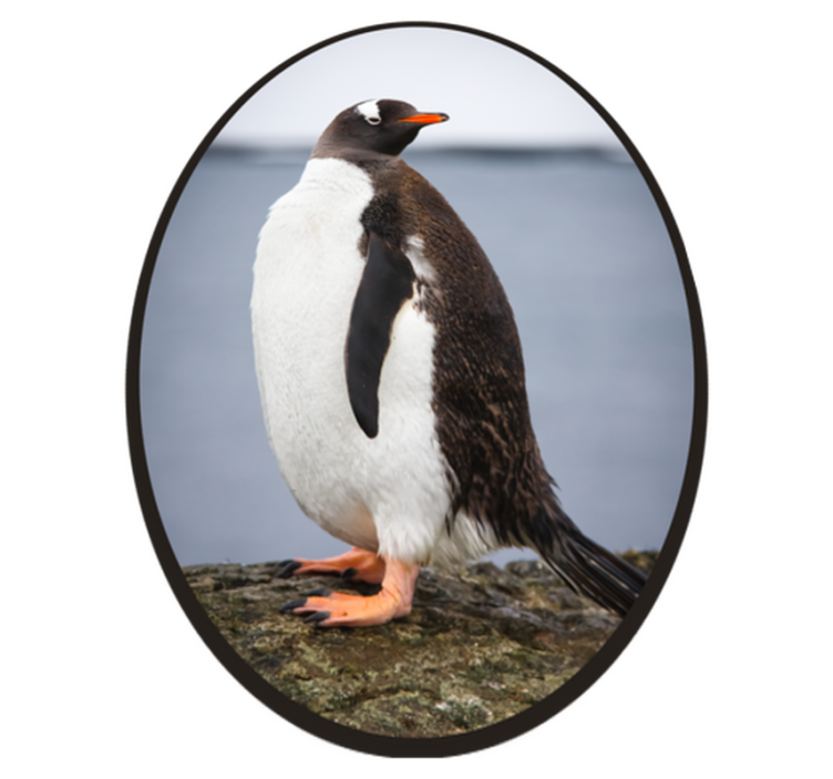 Penguin Stance animal mat - TenStickers
