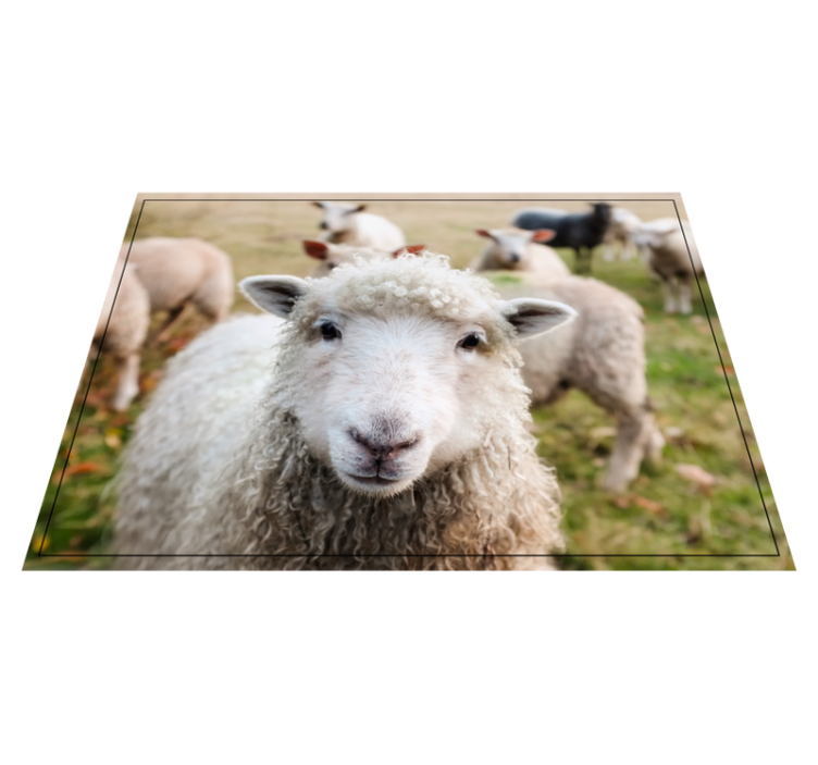 Curly shep face animal mat - TenStickers