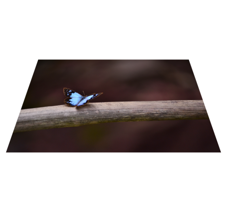 Butterfly on Branch nature rug - TenStickers