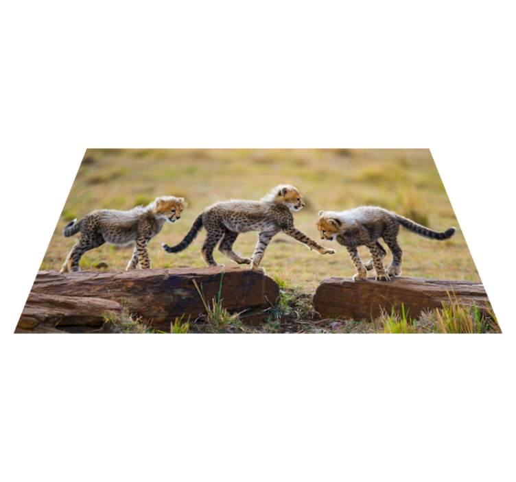 Cheetah cubs adventure animal mat - TenStickers