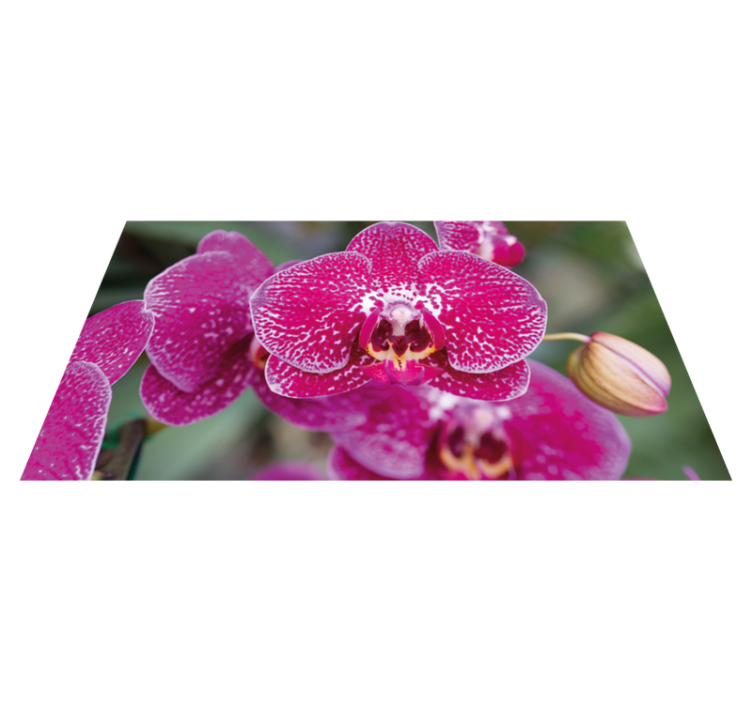 Vibrant Orchid Blooms floral rug - TenStickers