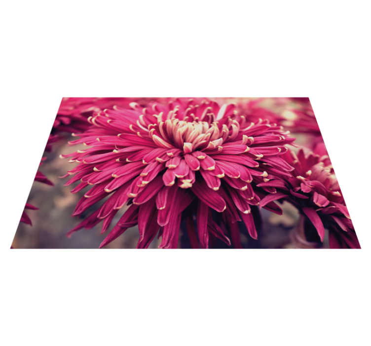 Realistic chrysanthemum floral rug - TenStickers