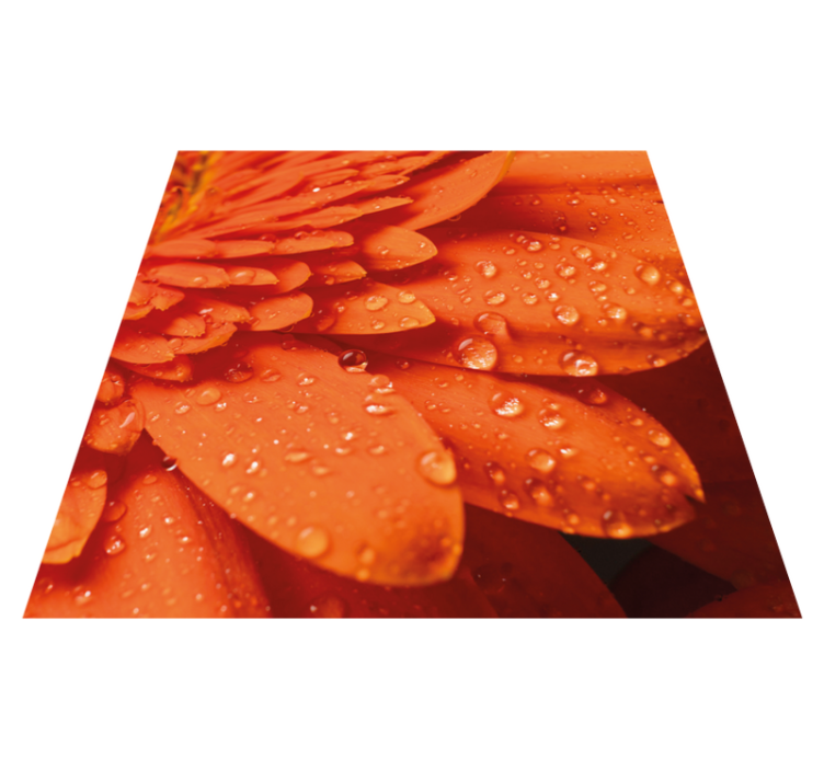 Bright orange petals floral rug - TenStickers