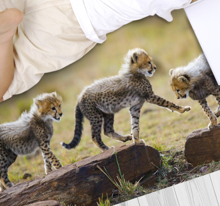 Cheetah cubs adventure animal mat - TenStickers
