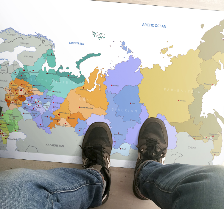Map rug of russian regions - TenStickers