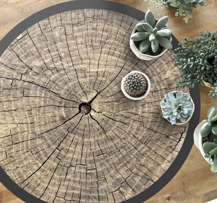 Log Cross-Section wood effect rug - TenStickers